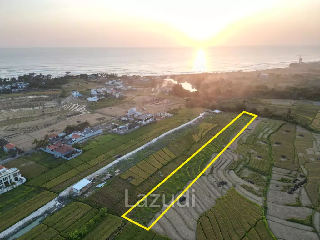 Prime 68.36 Are Pink Zone Land in Cemagi, Ideal for Development, 3 Minutes Away From the Beach