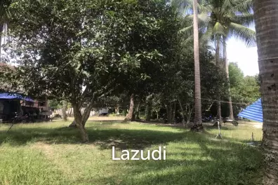 Affordable Land in Tropical Ko Pha-ngan