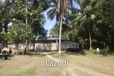 Affordable Land in Tropical Ko Pha-ngan