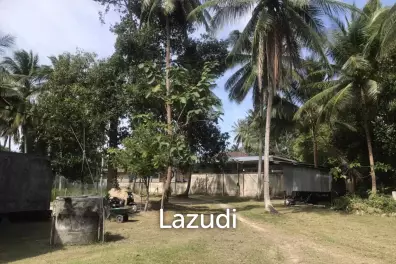 Affordable Land in Tropical Ko Pha-ngan