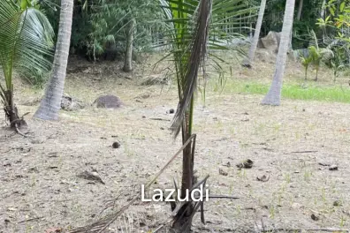 Prime Land in Ko Pha-ngan Natural Paradise