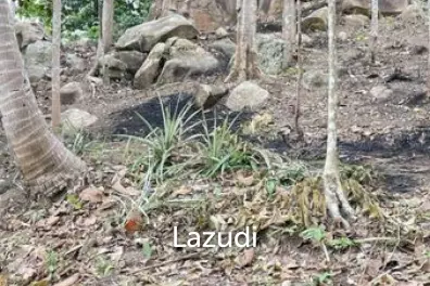 Prime Land in Ko Pha-ngan Natural Paradise