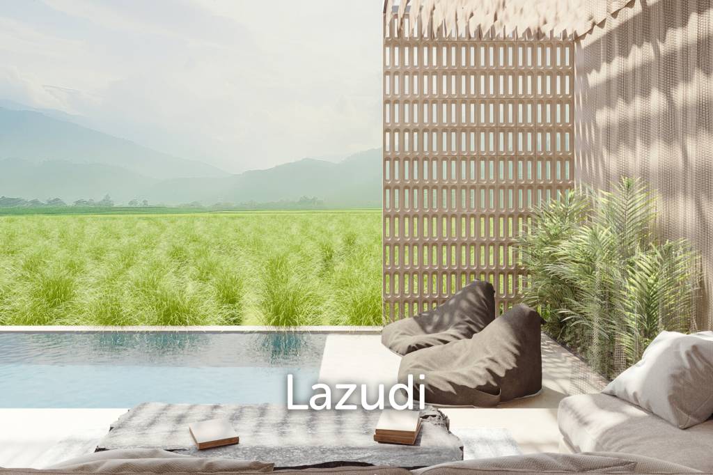 Amazing One Bedroom Real Estate Development in Ubud