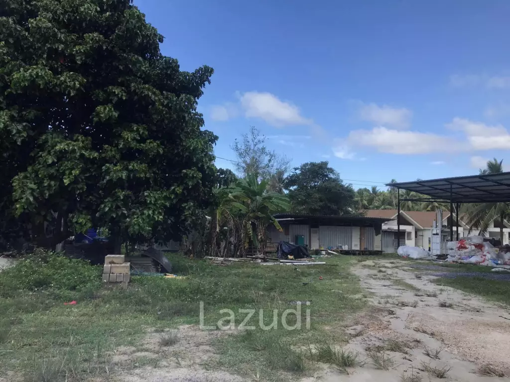 Serene Land with Lush Greenery in Ko Pha-ngan