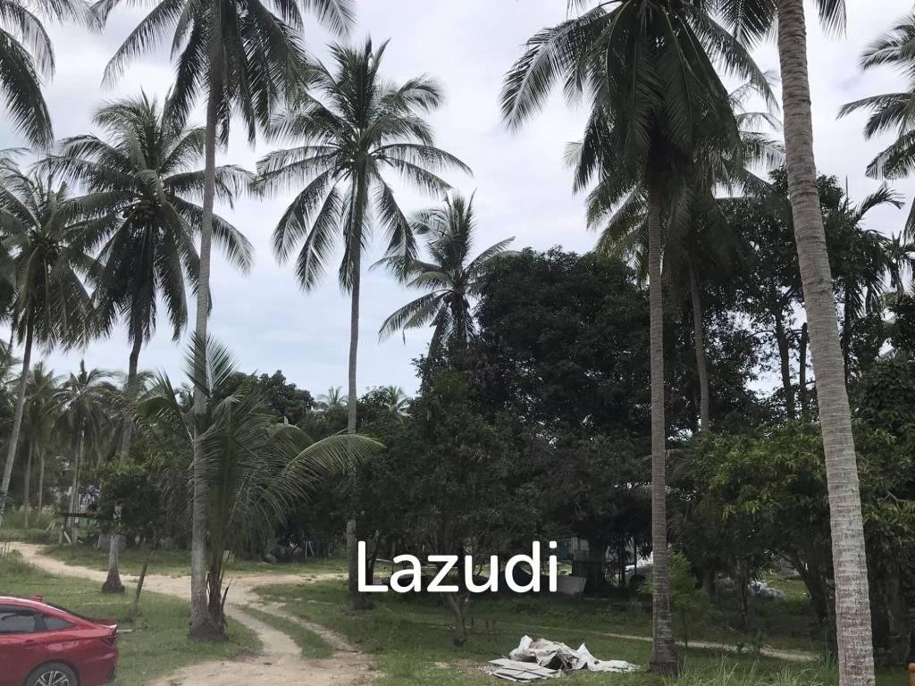 Serene Land with Lush Greenery in Ko Pha-ngan