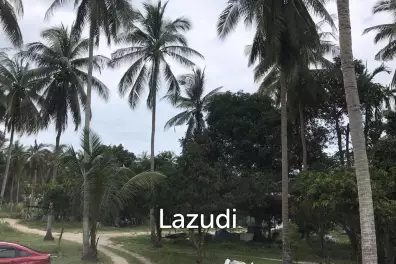 Serene Land with Lush Greenery in Ko Pha-ngan