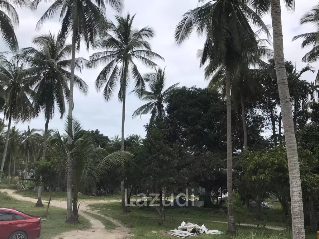 Serene Land with Lush Greenery in Ko Pha-ngan