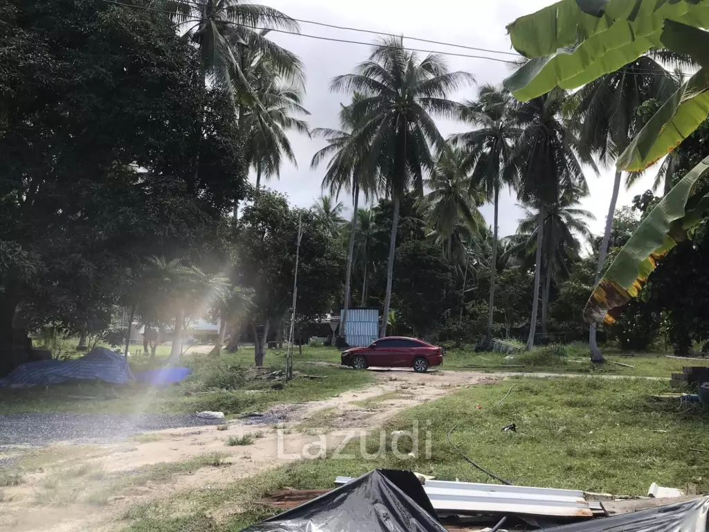 Serene Land with Lush Greenery in Ko Pha-ngan