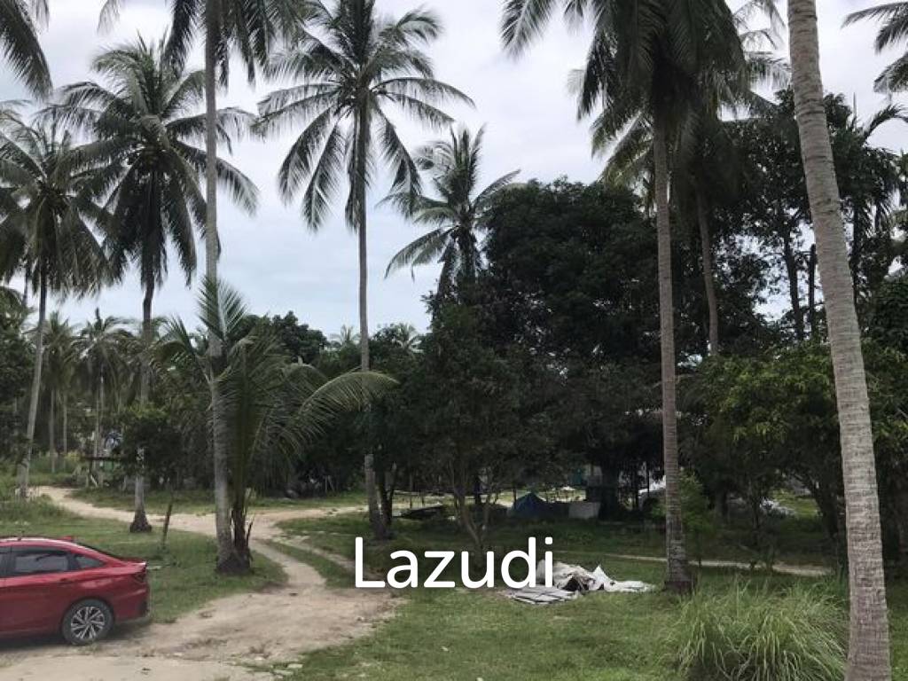 Serene Land with Lush Greenery in Ko Pha-ngan
