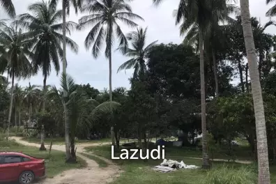 Serene Land with Lush Greenery in Ko Pha-ngan