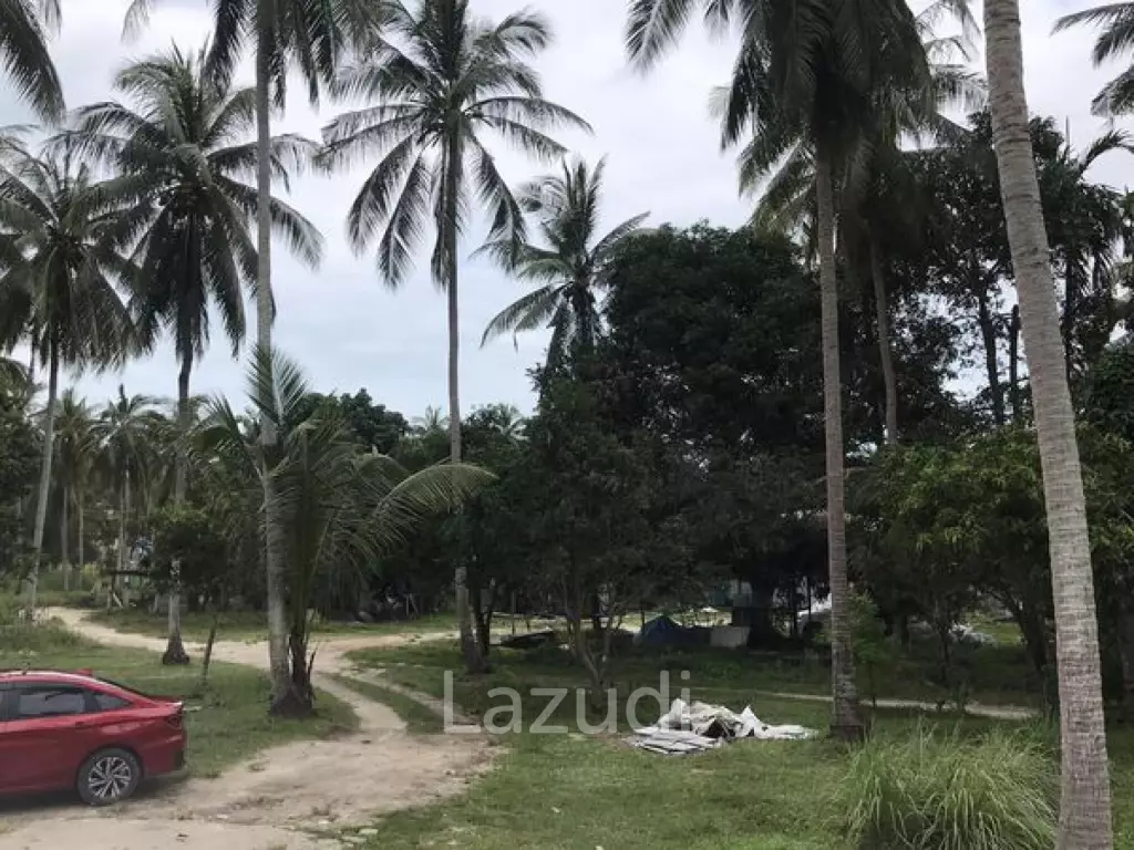 Serene Land with Lush Greenery in Ko Pha-ngan