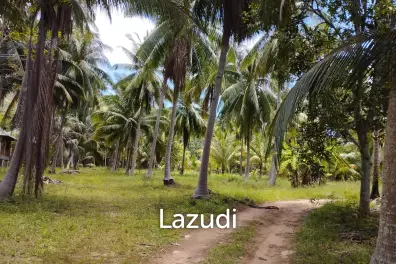 Luxury Tropical Land in Ko Pha-ngan
