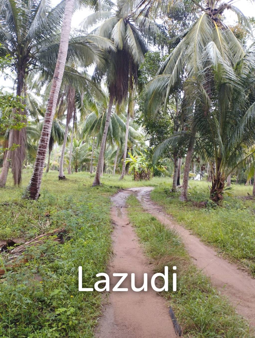 Luxury Tropical Land in Ko Pha-ngan