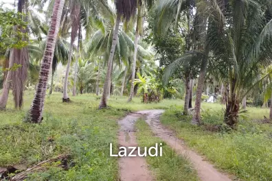 Luxury Tropical Land in Ko Pha-ngan