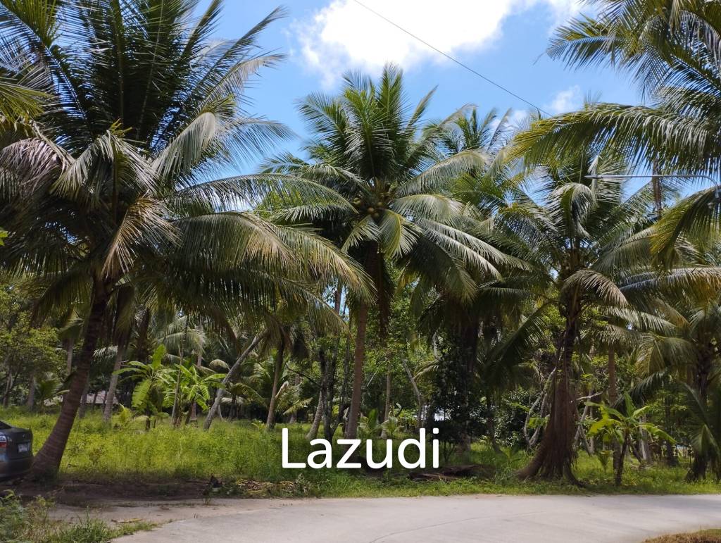 Luxury Tropical Land in Ko Pha-ngan