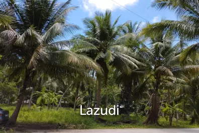 Luxury Tropical Land in Ko Pha-ngan