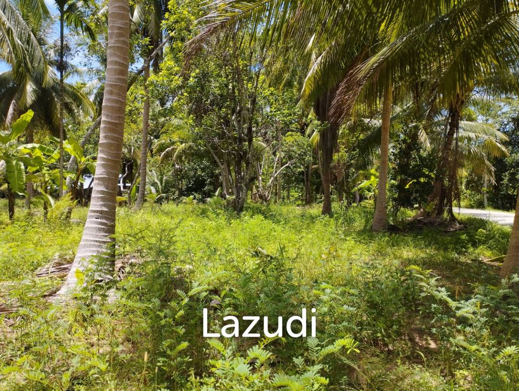Luxury Tropical Land in Ko Pha-ngan