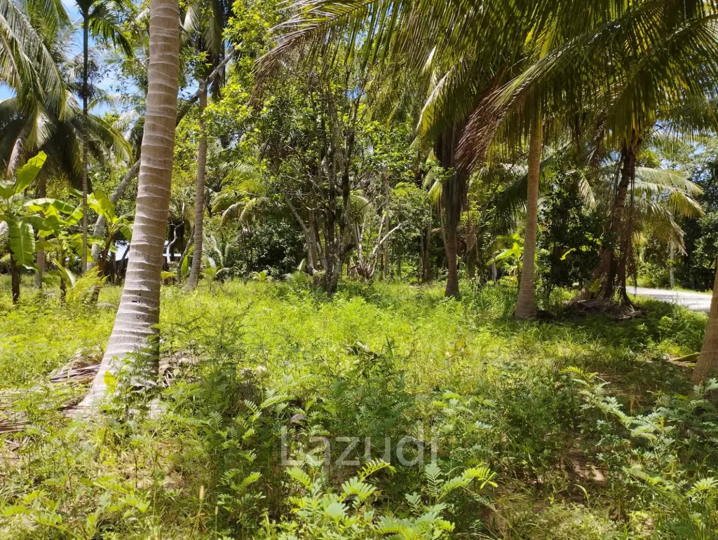Luxury Tropical Land in Ko Pha-ngan