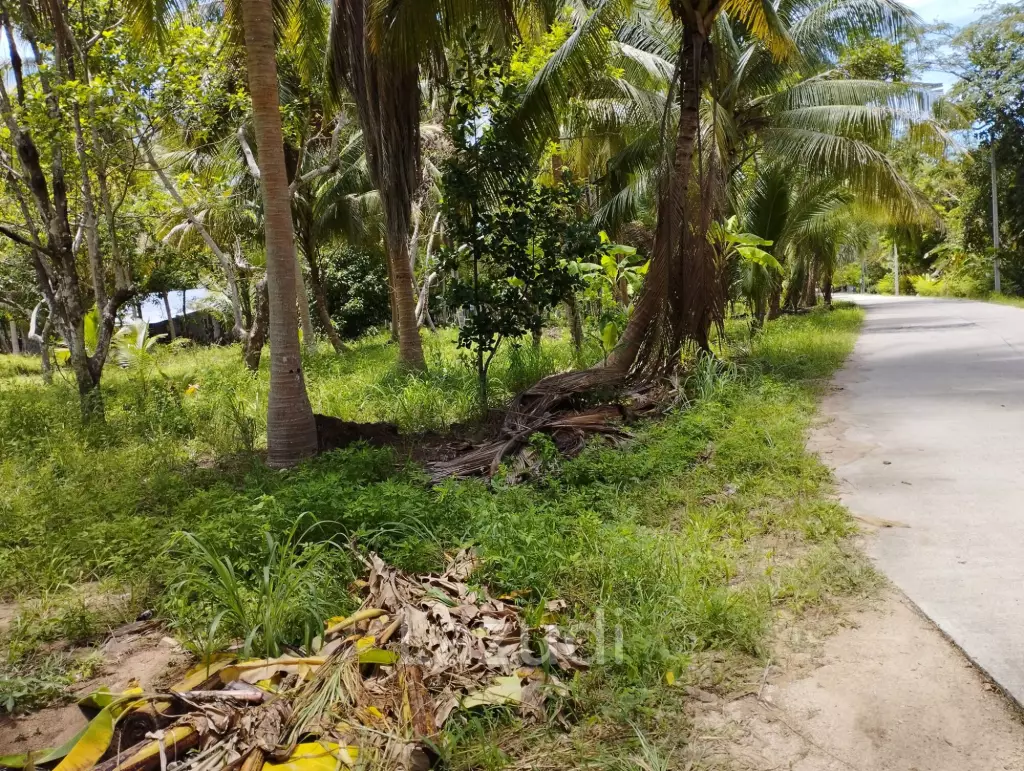 Luxury Tropical Land in Ko Pha-ngan