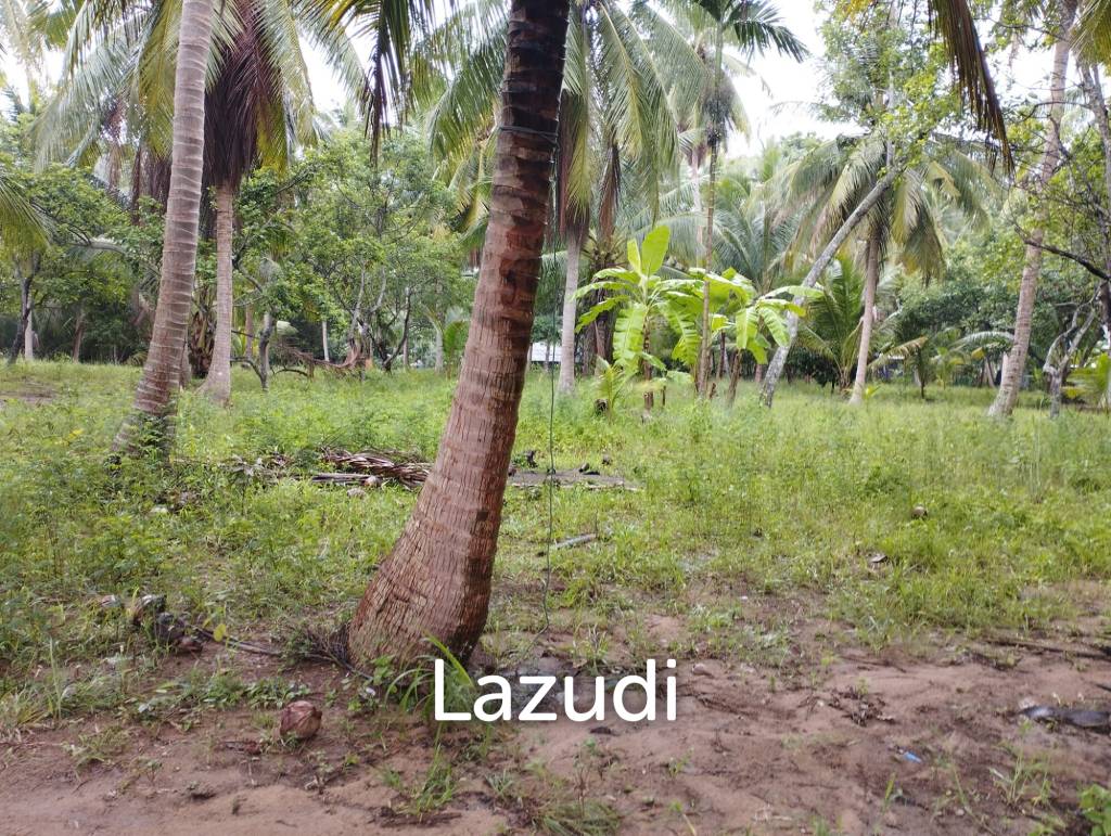 Luxury Tropical Land in Ko Pha-ngan
