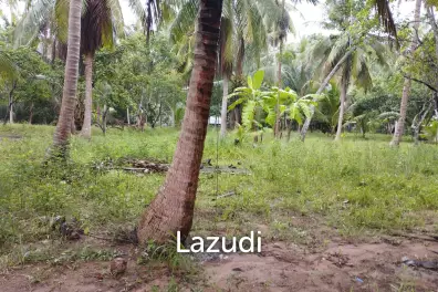 Luxury Tropical Land in Ko Pha-ngan