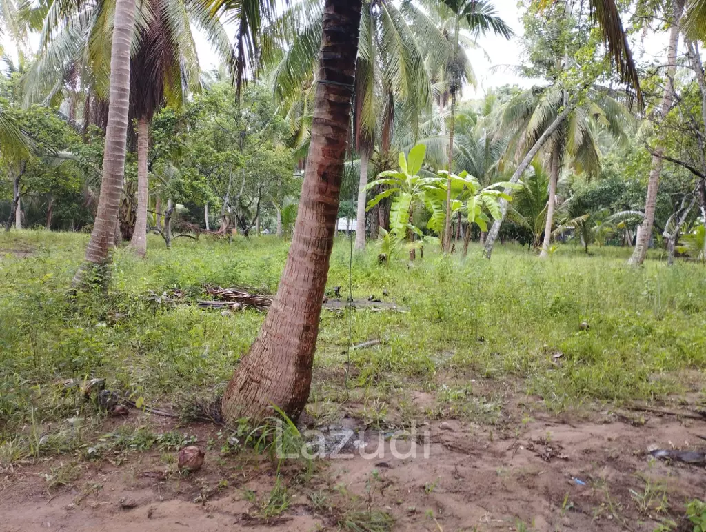 Luxury Tropical Land in Ko Pha-ngan