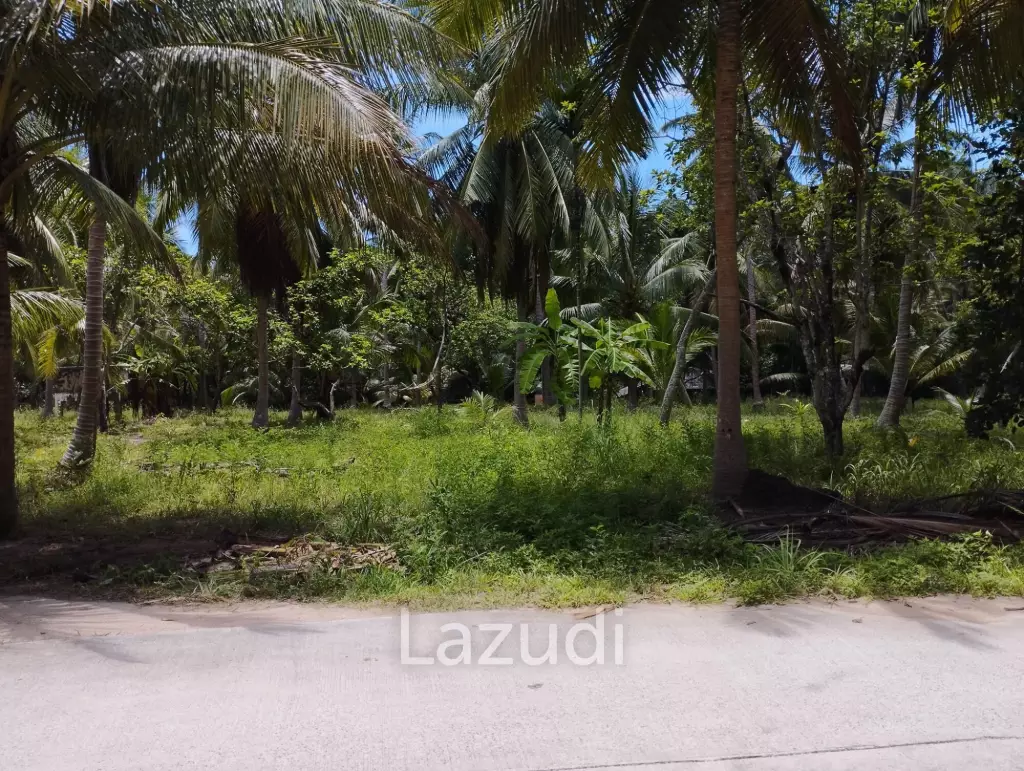 Luxury Tropical Land in Ko Pha-ngan