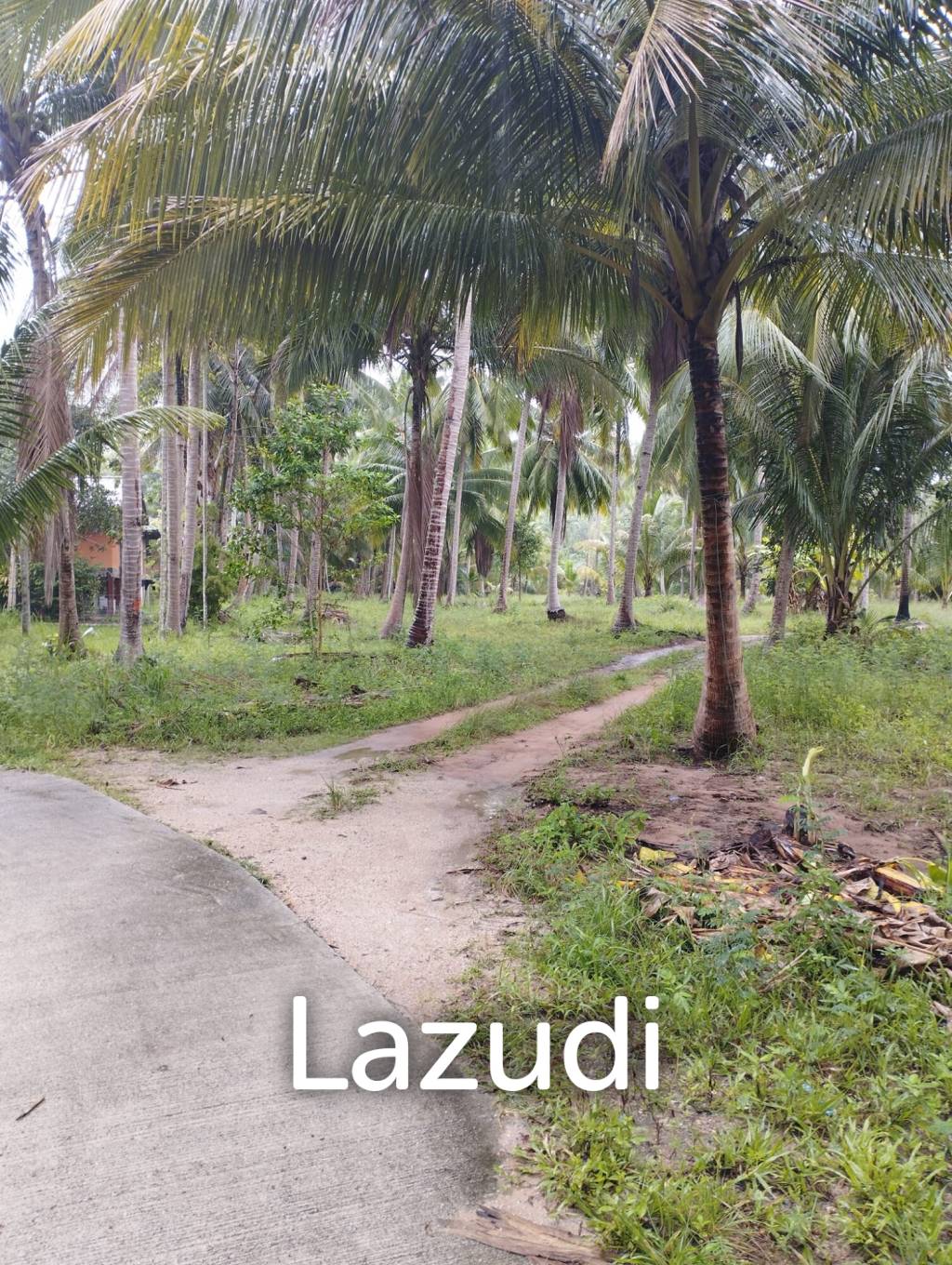Luxury Tropical Land in Ko Pha-ngan