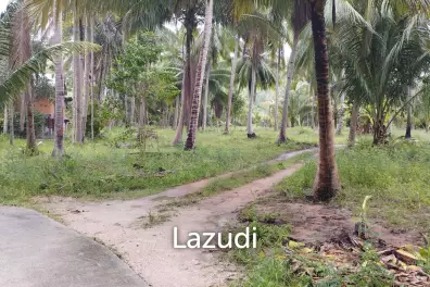 Luxury Tropical Land in Ko Pha-ngan