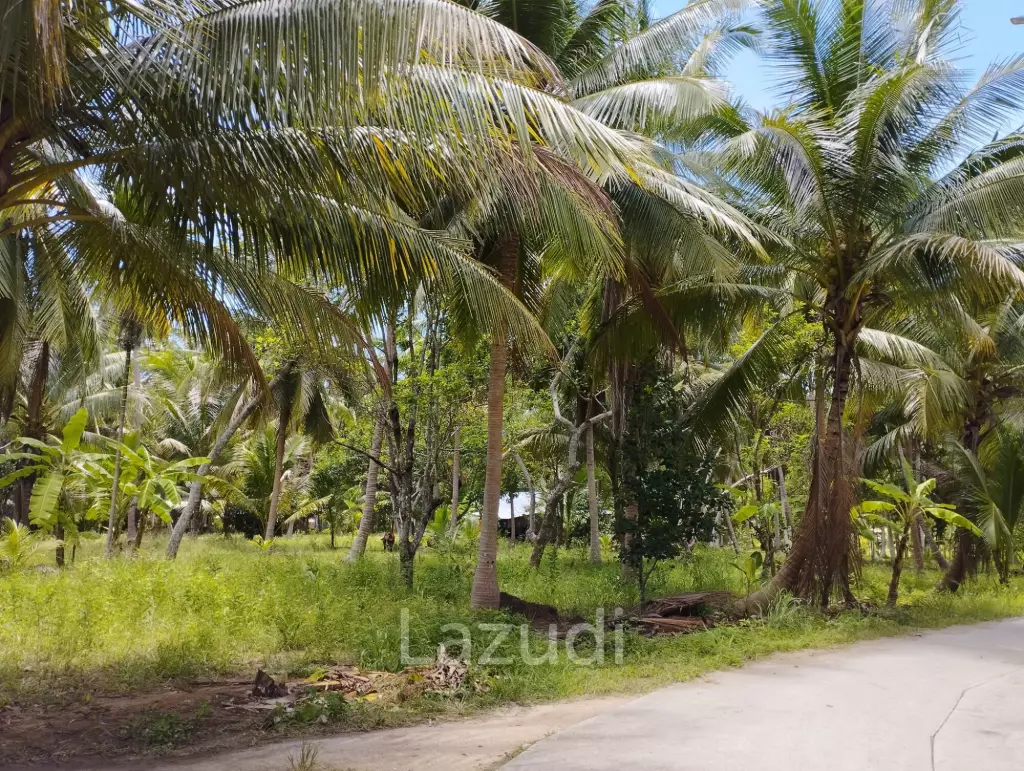 Luxury Tropical Land in Ko Pha-ngan