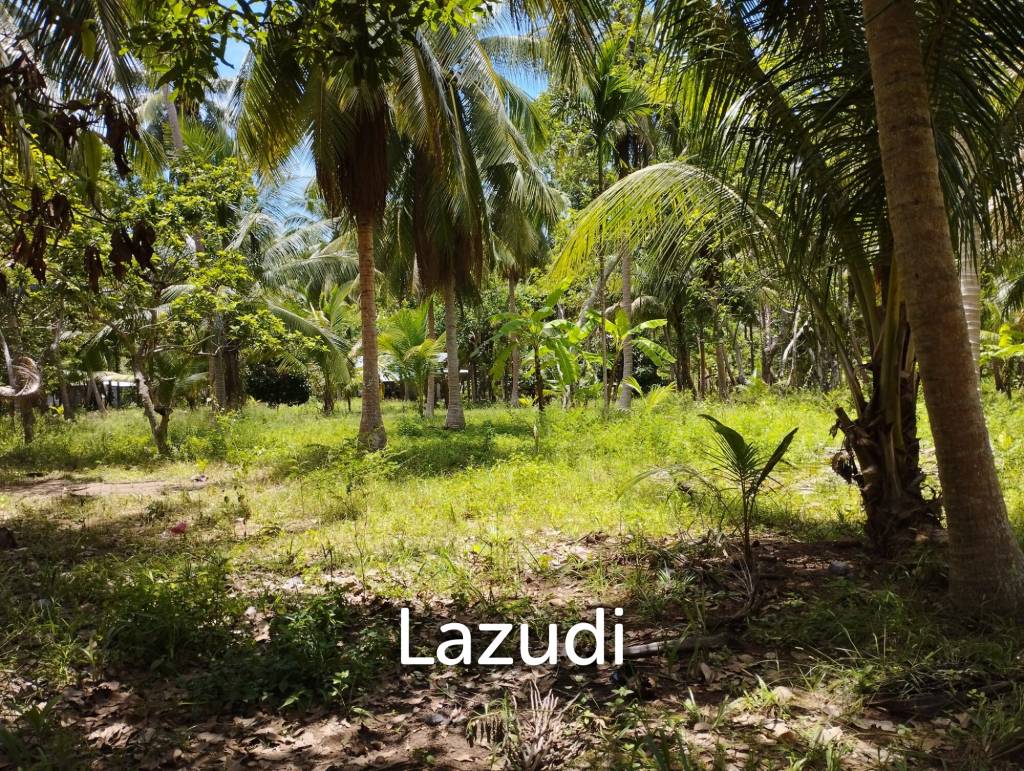 Luxury Tropical Land in Ko Pha-ngan