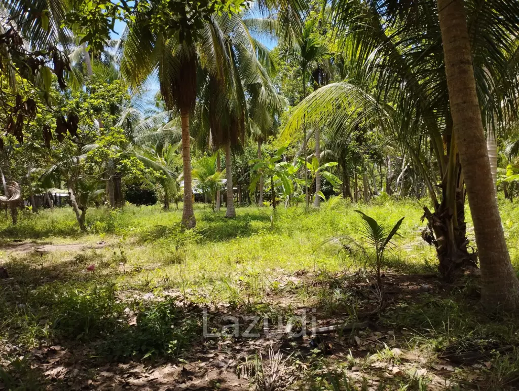 Luxury Tropical Land in Ko Pha-ngan
