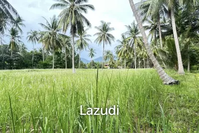 Premium Tropical Land in Ko Pha-ngan