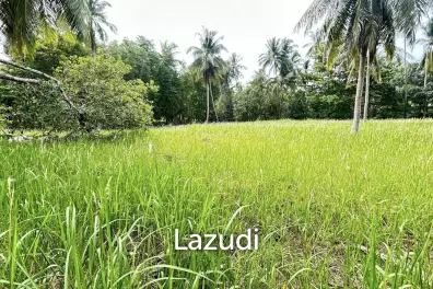 Premium Tropical Land in Ko Pha-ngan