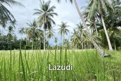 Premium Tropical Land in Ko Pha-ngan