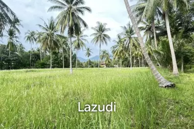 Premium Tropical Land in Ko Pha-ngan
