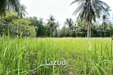 Premium Tropical Land in Ko Pha-ngan