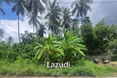 Serene Tropical Land for Sale in Ko Pha-ngan