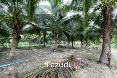 Premium Land For Sale in Ko Pha-ngan