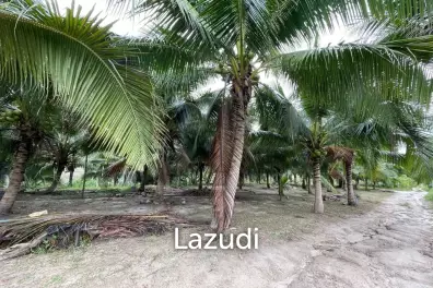 Premium Land For Sale in Ko Pha-ngan