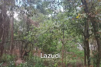 Premium Land For Sale in Ko Pha-ngan