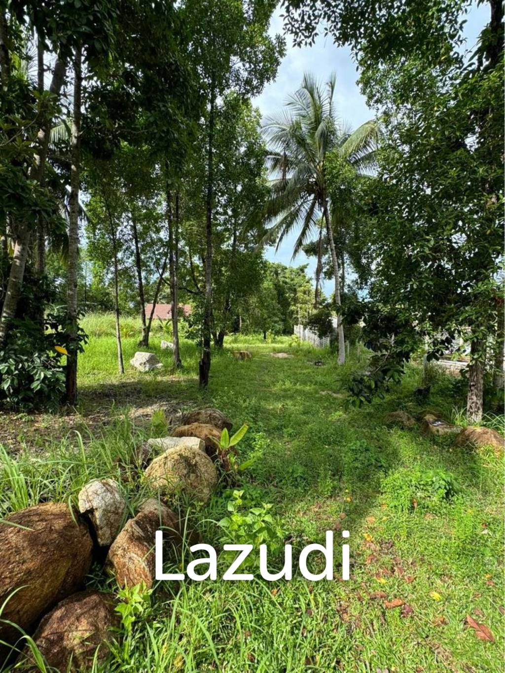 Prime Flat Land for Sale in Ban Nai Son, Koh Phangan