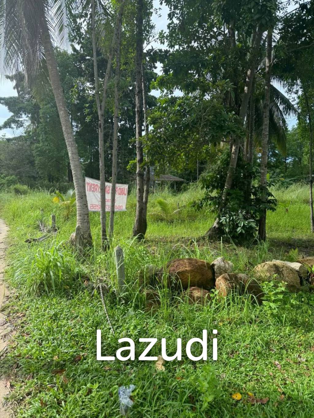Prime Flat Land for Sale in Ban Nai Son, Koh Phangan