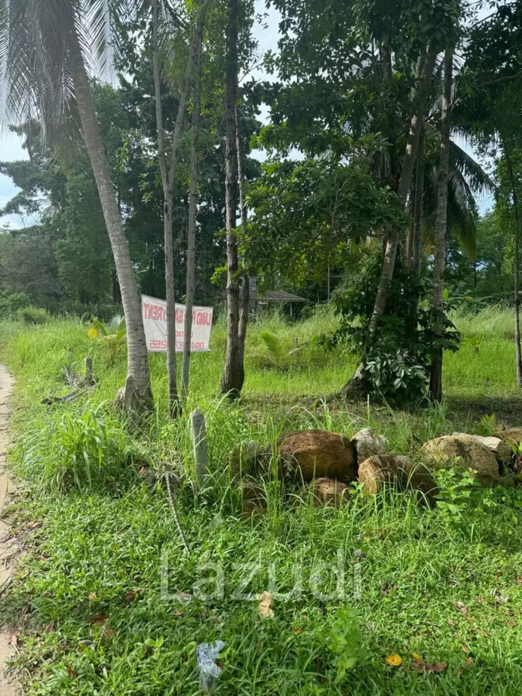 Prime Flat Land for Sale in Ban Nai Son, Koh Phangan
