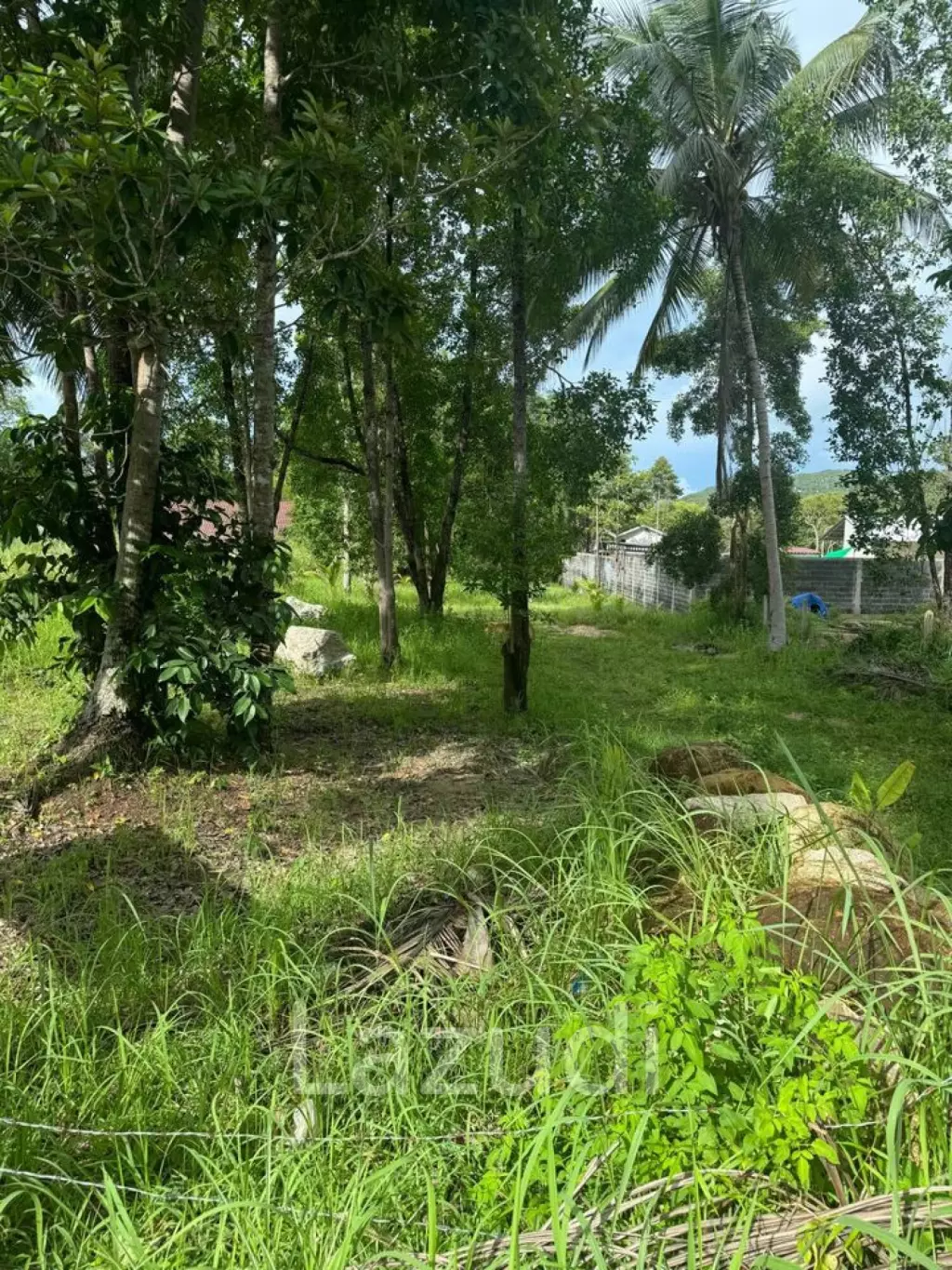 Prime Flat Land for Sale in Ban Nai Son, Koh Phangan