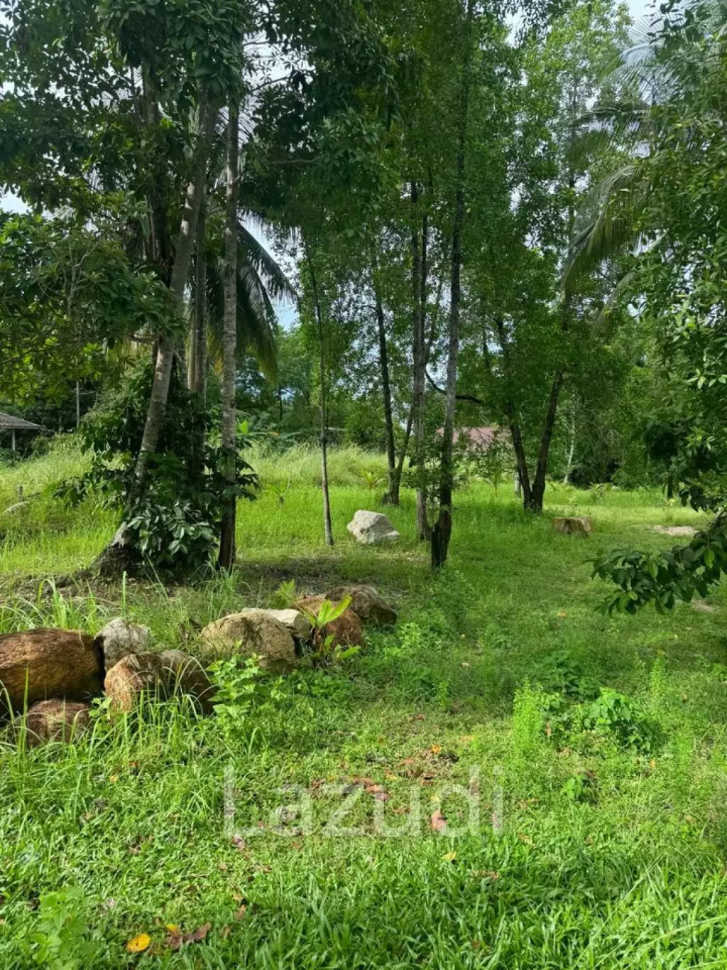 Prime Flat Land for Sale in Ban Nai Son, Koh Phangan