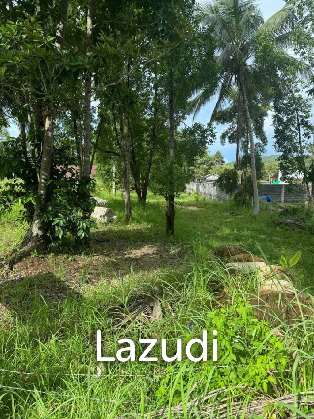 Prime Flat Land for Sale in Ban Nai Son, Koh Phangan