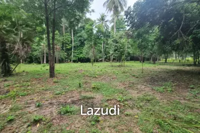Exceptional Flat Land for Development in Koh Phangan – Ideal Investment Opportunity