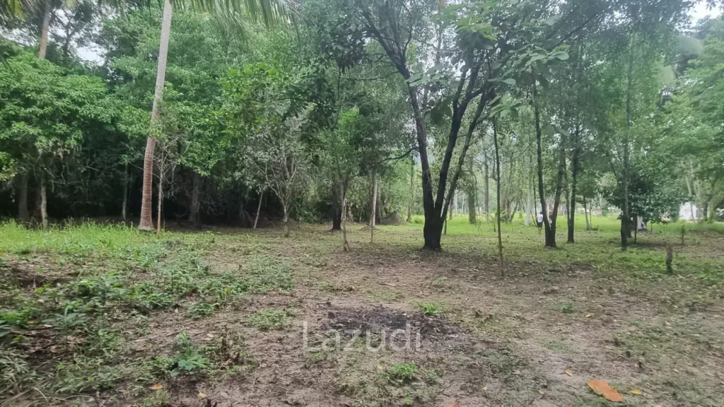 Exceptional Flat Land for Development in Koh Phangan – Ideal Investment Opportunity