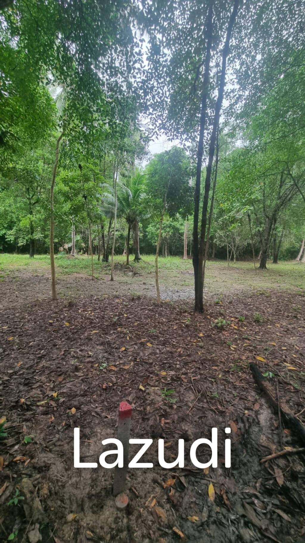 Exceptional Flat Land for Development in Koh Phangan – Ideal Investment Opportunity